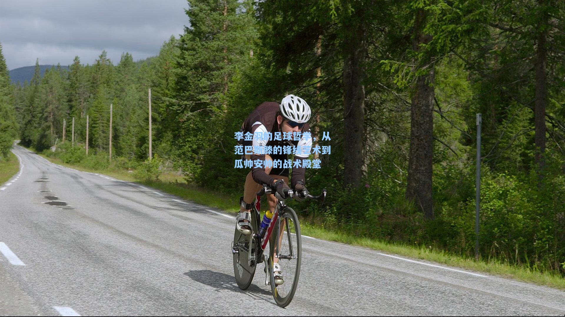 【kaiyun】李金羽的足球哲学,从范巴斯滕的锋线艺术到瓜帅安帅的战术殿堂