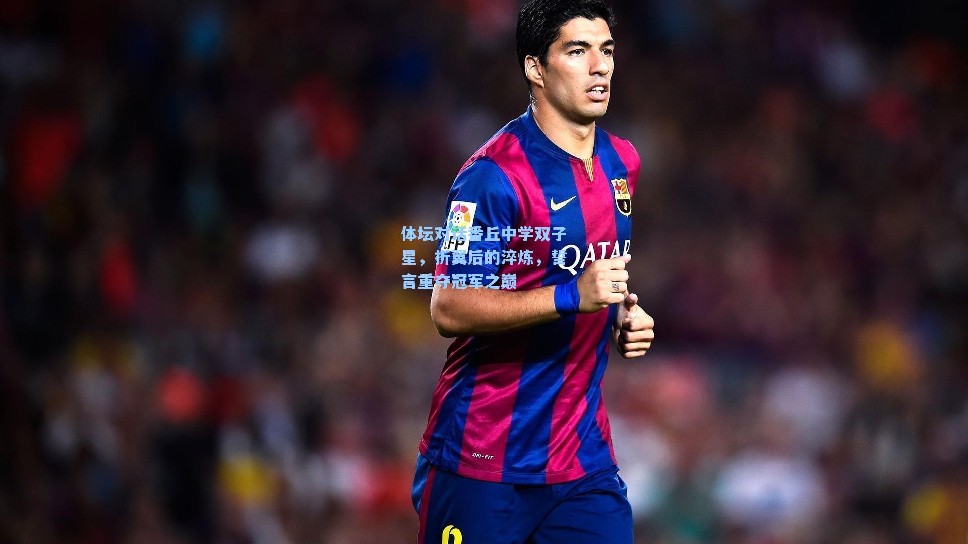 体坛对话番丘中学双子星，折翼后的淬炼，誓言重夺冠军之巅